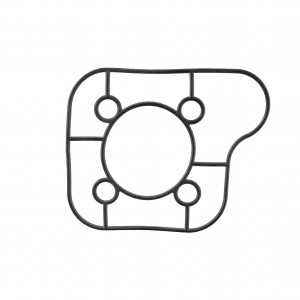 Guarnizione testa cilindro...