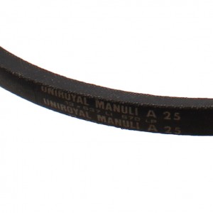 Cinghia trapezoidale... 2