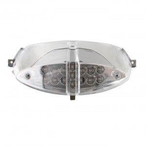 Faro posteriore a Led TNT...