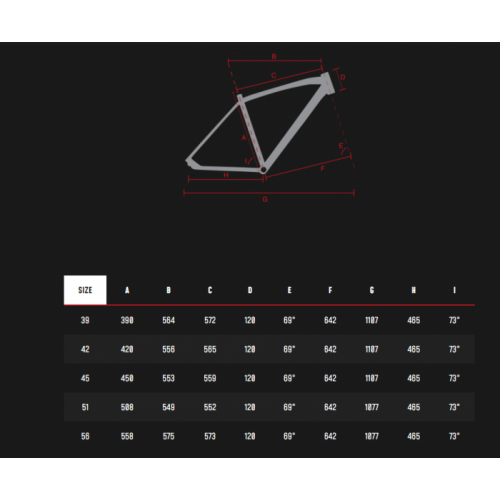 Mtb Uomo Lombardo Sestriere 350 29"