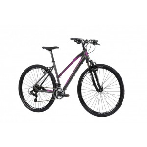 Bicicletta Lombardo Amantea... 2