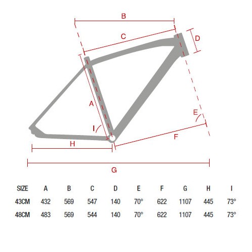 Bicicletta Lombardo Amantea City Woman