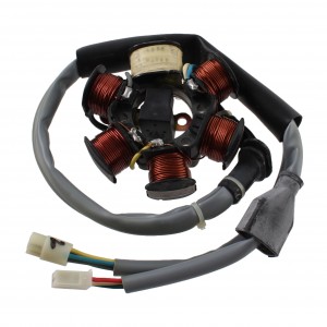 Statore Piaggio Free Delivery