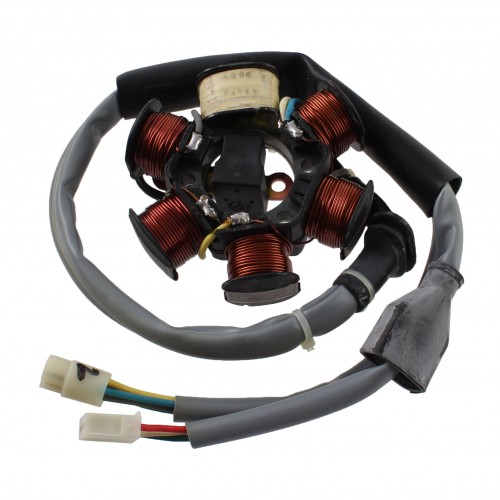 Statore Piaggio Free Delivery