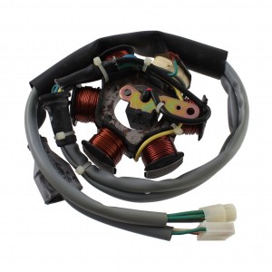 Statore Piaggio Free Delivery 2