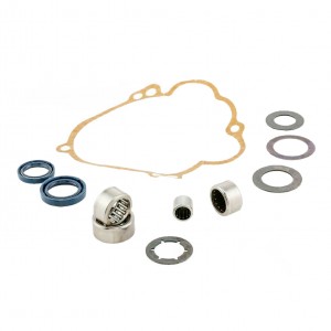 Kit revisione mozzo...