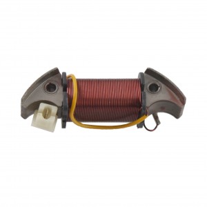 Bobina luce Piaggio Ciao R...