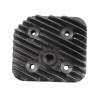 Testa cilindro Peugeot Speedfight Vivacity 100