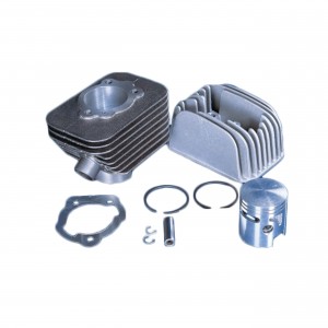 Gruppo termico Polini...