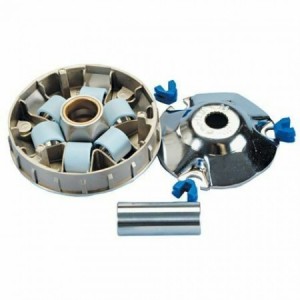 Variatore Polini 241613 per...