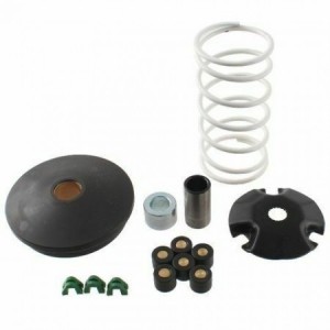 Variatore Bettella per...