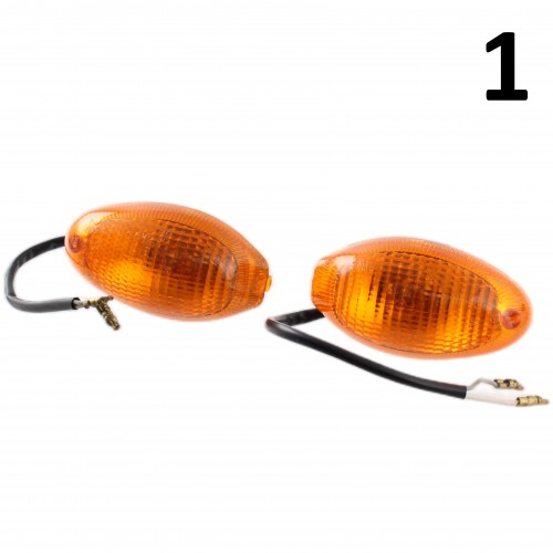 Coppia frecce anteriori Ducati Monster