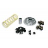 Variatore multivar 2000 Malossi Maxiscooter ATV Quad 5113892