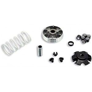 Variatore Malossi 5111597...