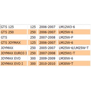 Luce targa Sym GTS Joymax -... 2
