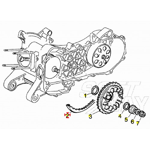 Cinghia trasmisisone Piaggio Liberty...