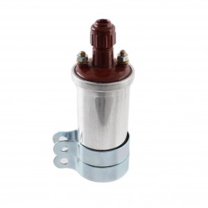 Bobina torcia AT da 6 Volt...