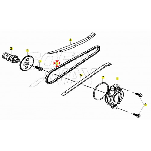 Catena distribuzione Sym Symphony...