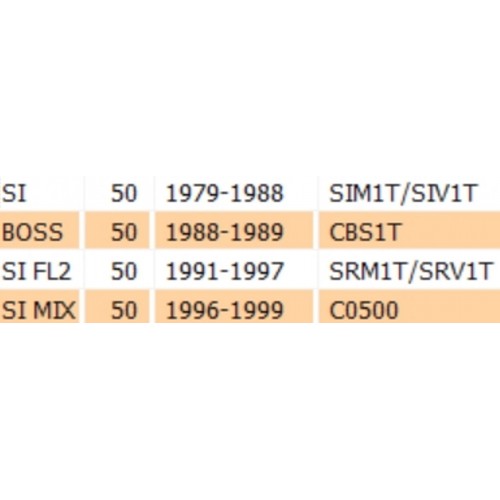 Foderi forcella Piaggio SI e Boss...