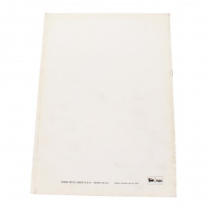 Variante manuale officina... 2