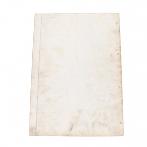 Variante manuale officina... 2