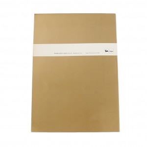 Variante manuale officina... 2