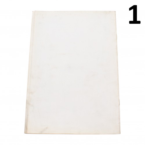 Variante manuale officina Moto Guzzi...