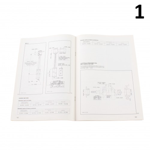 Variante manuale officina Moto Guzzi...