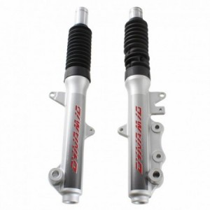 Coppia steli forcella...