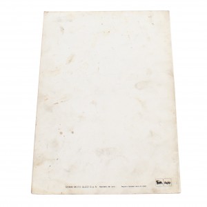 Variante manuale officina... 2