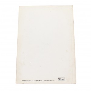 Variante manuale officina... 2