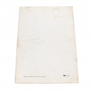 Variante manuale officina... 2