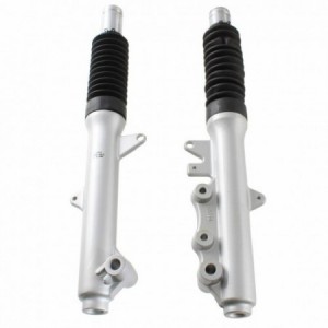 Coppia steli forcella... 2