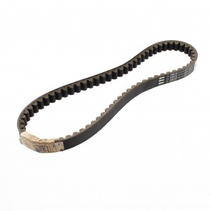 Cinghia trasmissione...