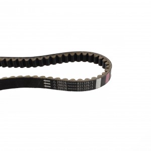 Cinghia trasmissione... 2