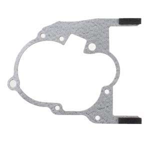 Guarnizione carter rapporti...