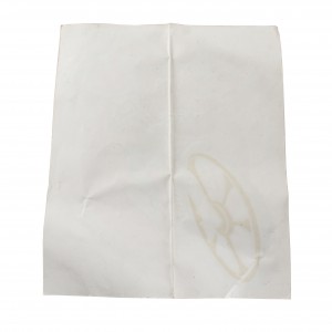 Vetrofania Testi tecnica e... 2