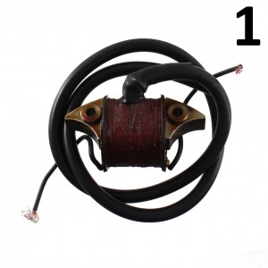 Bobina AT con rialzi Vespa... 2