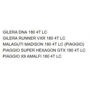 Variatore Malossi Piaggio... 2