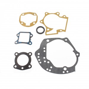 Serie guarnizioni motore...