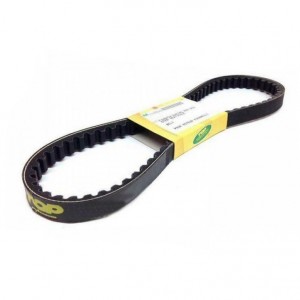 Cinghia Top racing per...
