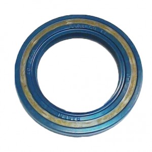 Paraolio Piaggio Porter...