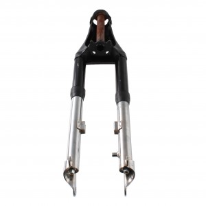 Forcella anteriore... 2