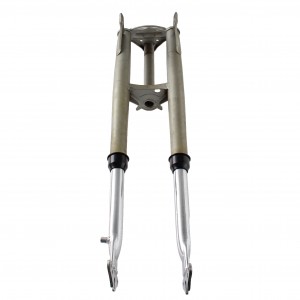 Forcella anteriore...