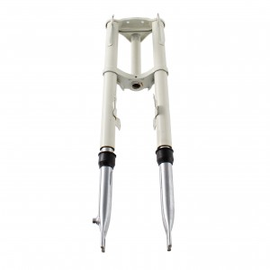 Forcella anteriore...