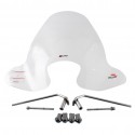 Parabrezza Faco per Piaggio Liberty 50 2T Restyling