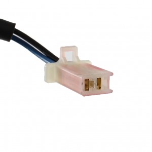 Centralina Ducati con fermi... 2