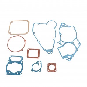 Serie guarnizioni motore...