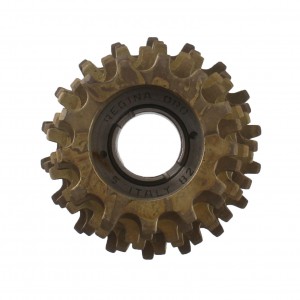 Ruota libera ciclo Regina...