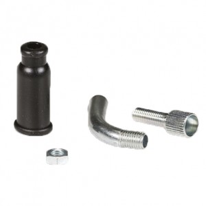 Curvetta carburatore...